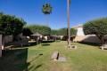 Venta - Chalet - Torrevieja - Jardin del Mar