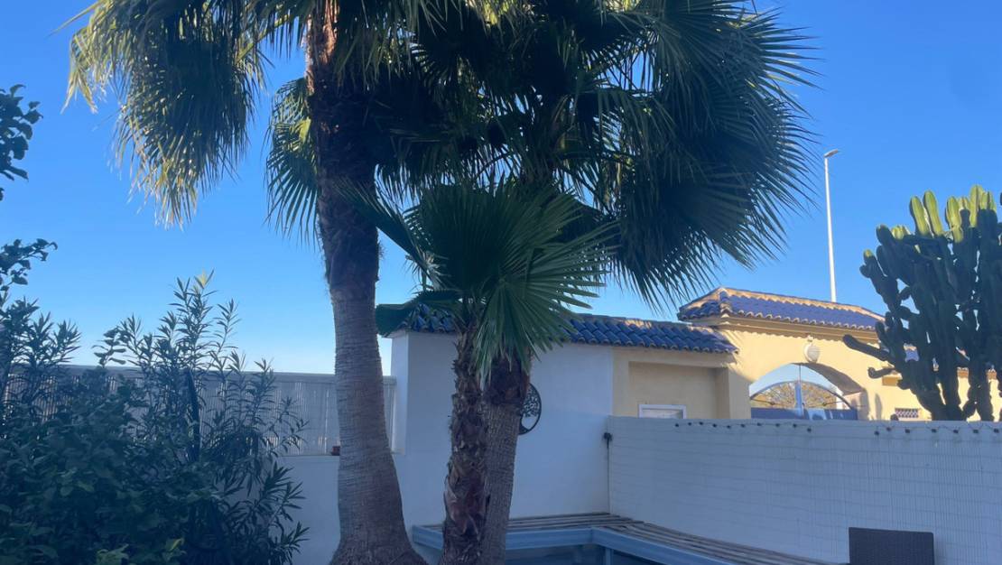 Venta - Chalet - Torrevieja - La Mata