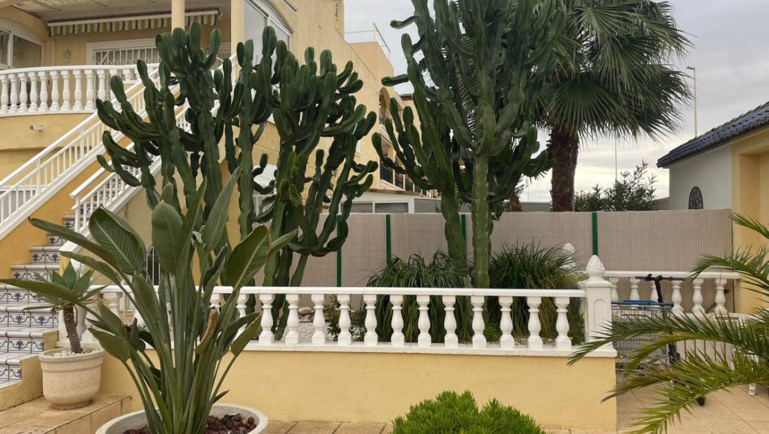 Venta - Chalet - Torrevieja - La Mata