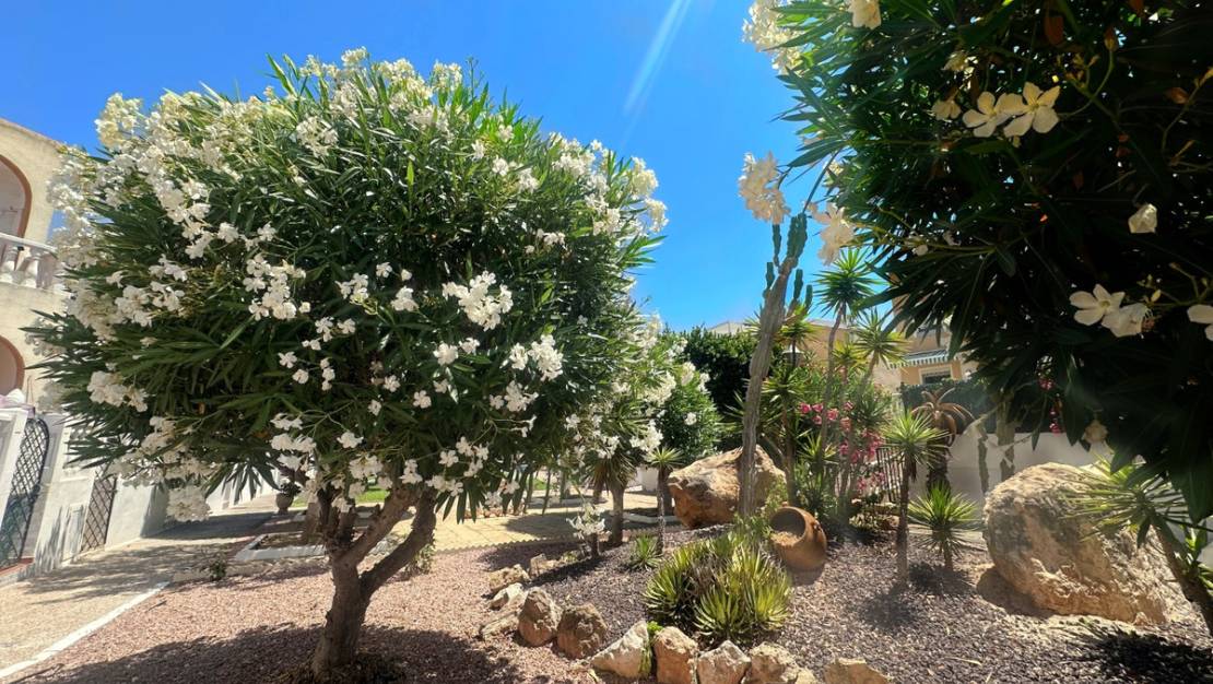 Venta - Chalet - Torrevieja - La Mata
