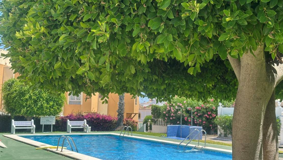 Venta - Chalet - Torrevieja - La Mata