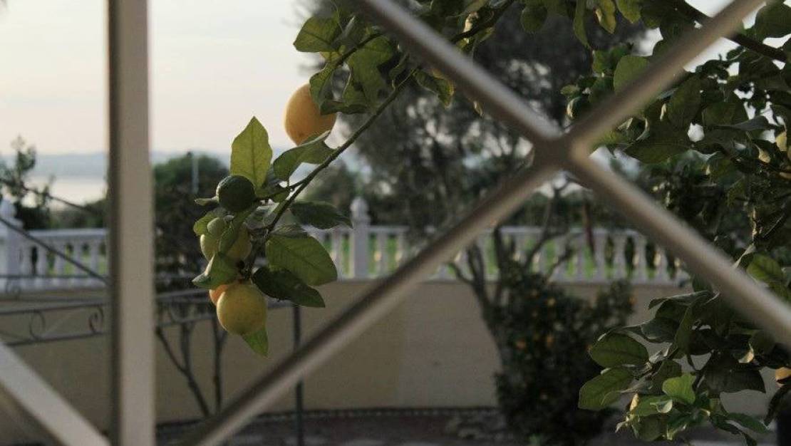 Venta - Chalet - Torrevieja - La siesta