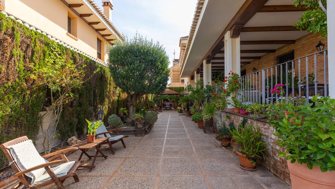 Venta - Chalet - Torrevieja - La Veleta