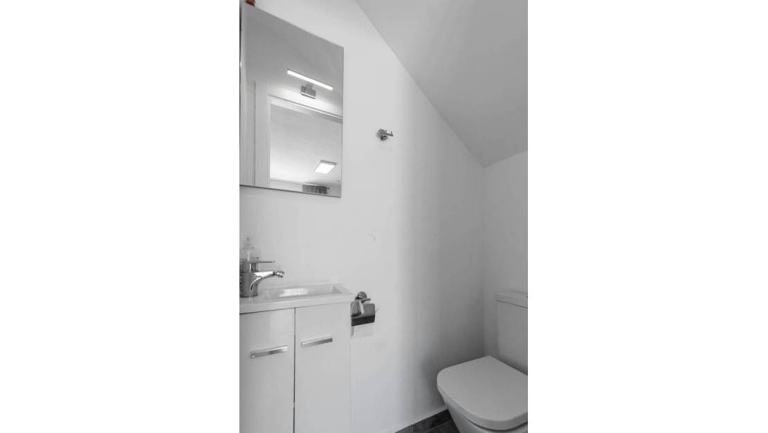 Venta - Chalet - Torrevieja - Lago jardin