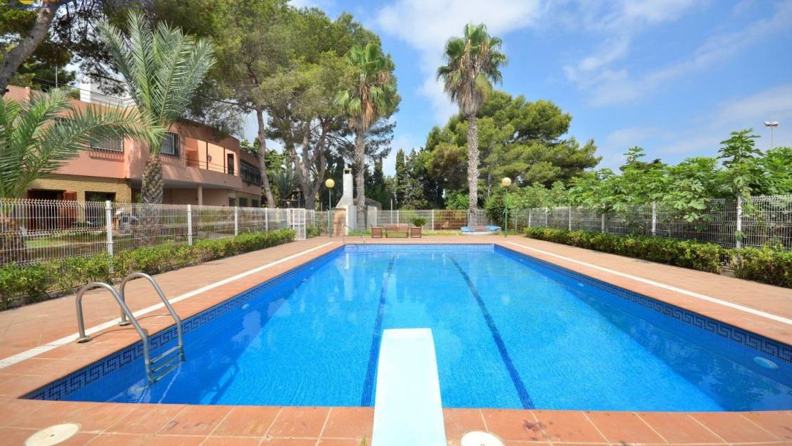 Venta - Chalet - Torrevieja - Los Balcones