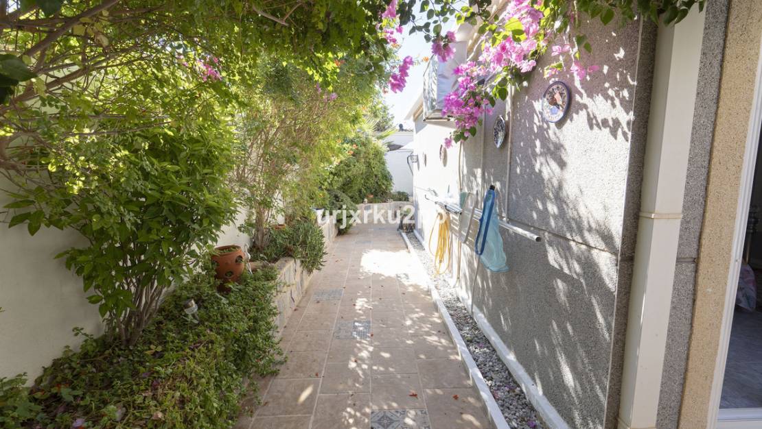 Venta - Chalet - Torrevieja - San Luis