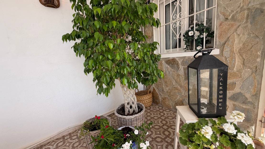 Venta - Chalet - Torrevieja - San Luis