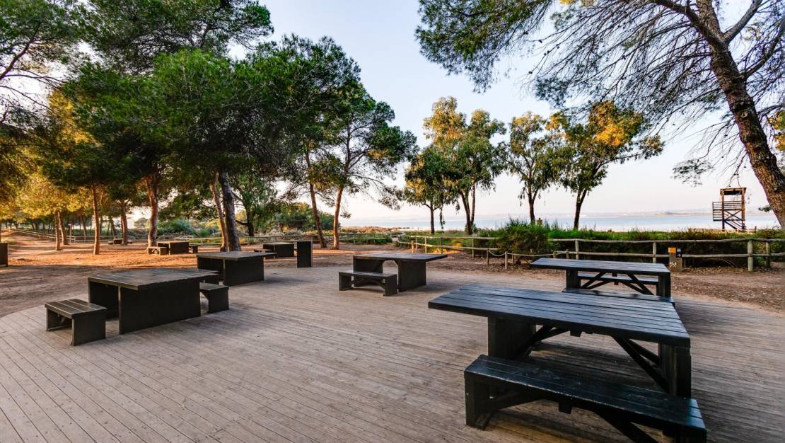 Venta - Chalet - Torrevieja - San Luis