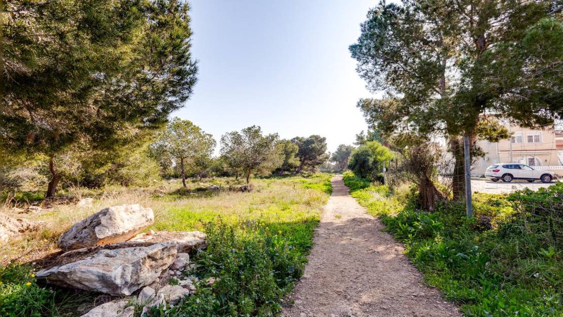 Venta - Chalet - Torrevieja - San Luis