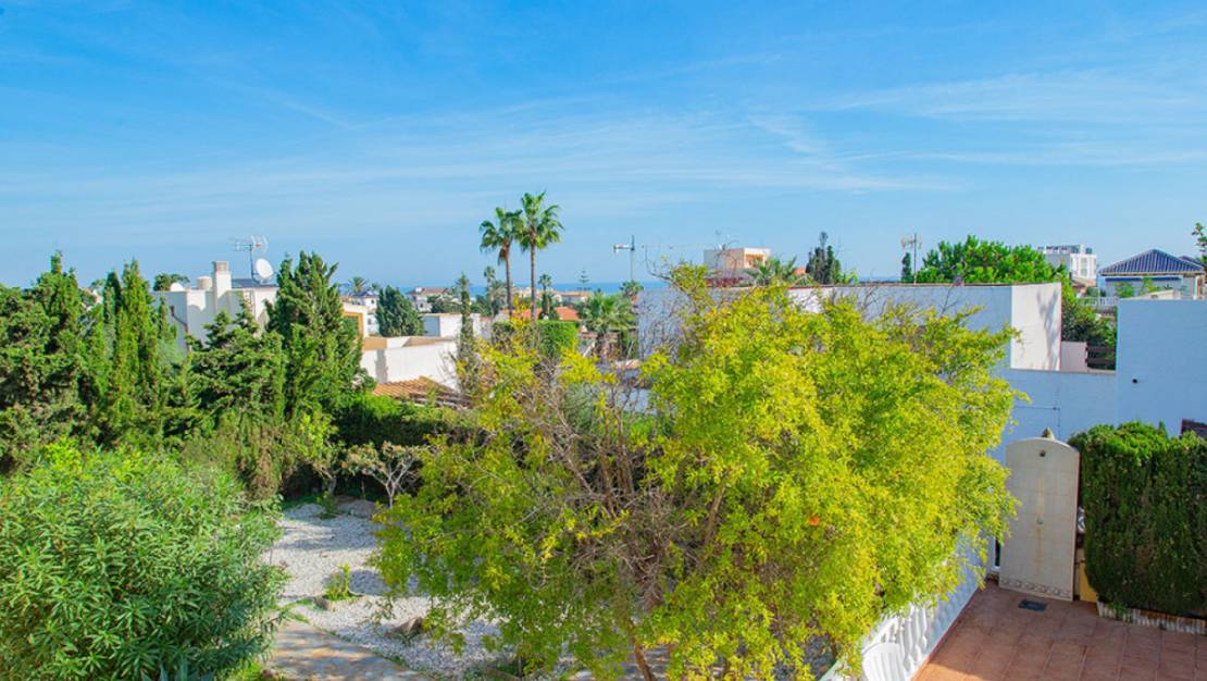 Venta - Chalet - Torrevieja - Torre la mata