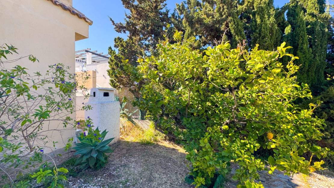 Venta - Chalet - Torrevieja - Torre la mata