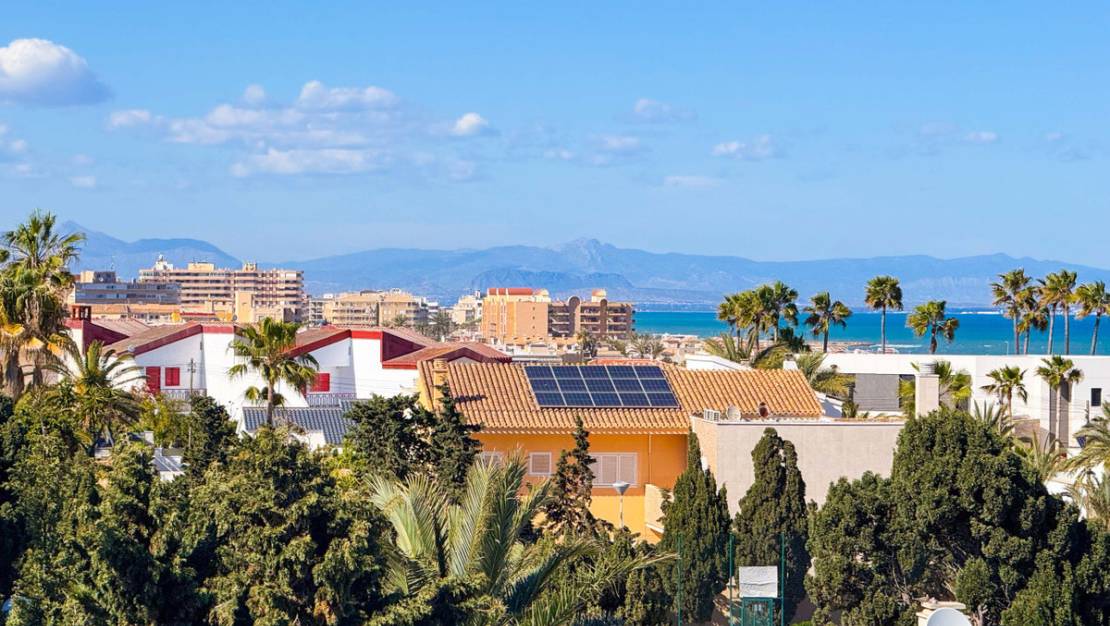 Venta - Chalet - Torrevieja - Torre la mata