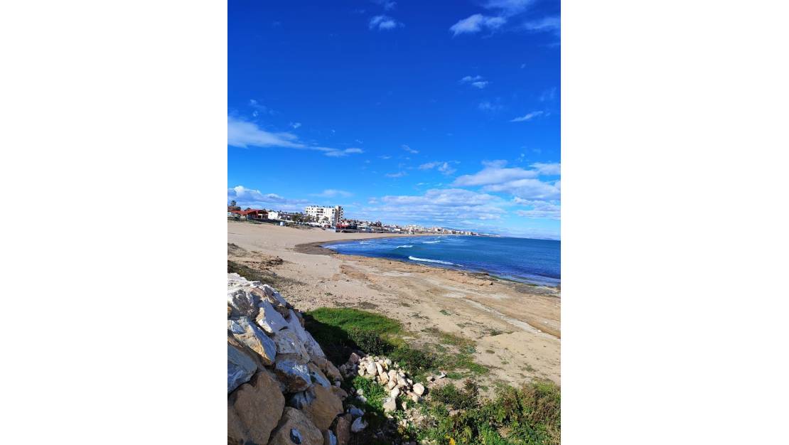 Venta - Chalet - Torrevieja - Torre la mata