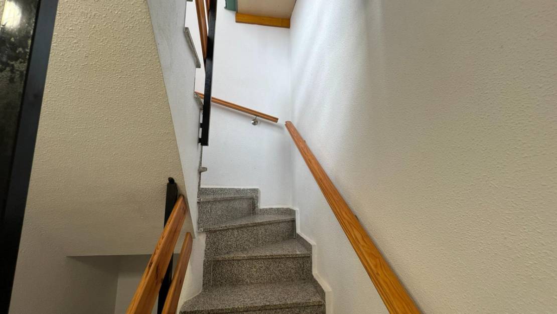 Venta - Chalet - Torrevieja - Torrevieja Centro