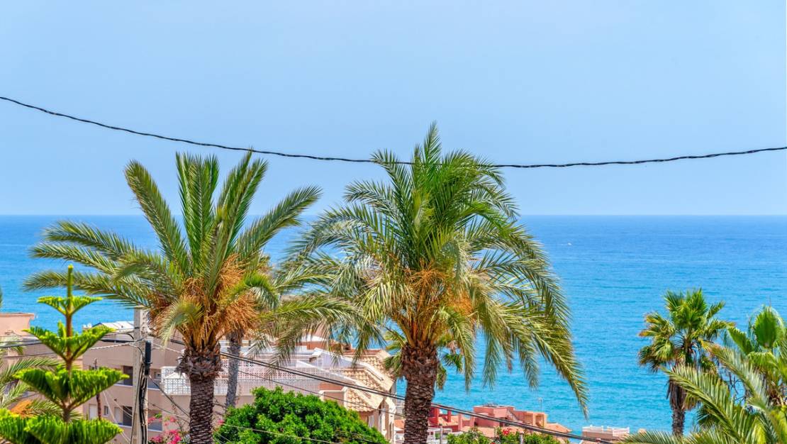 Venta - Chalet - Torrevieja - Torrevieja Centro