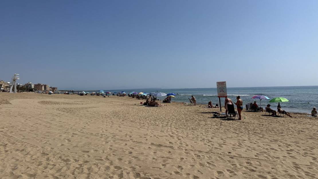 Venta - Chalet - Torrevieja - Torrevieja Centro