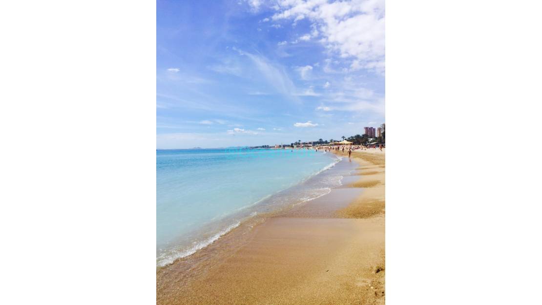 Venta - Chalet - Torrevieja - Torrevieja Centro