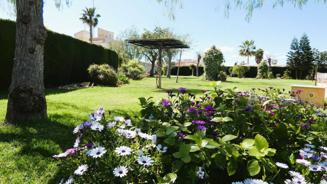 Venta - Chalet - Torrevieja - Torrevieja Centro