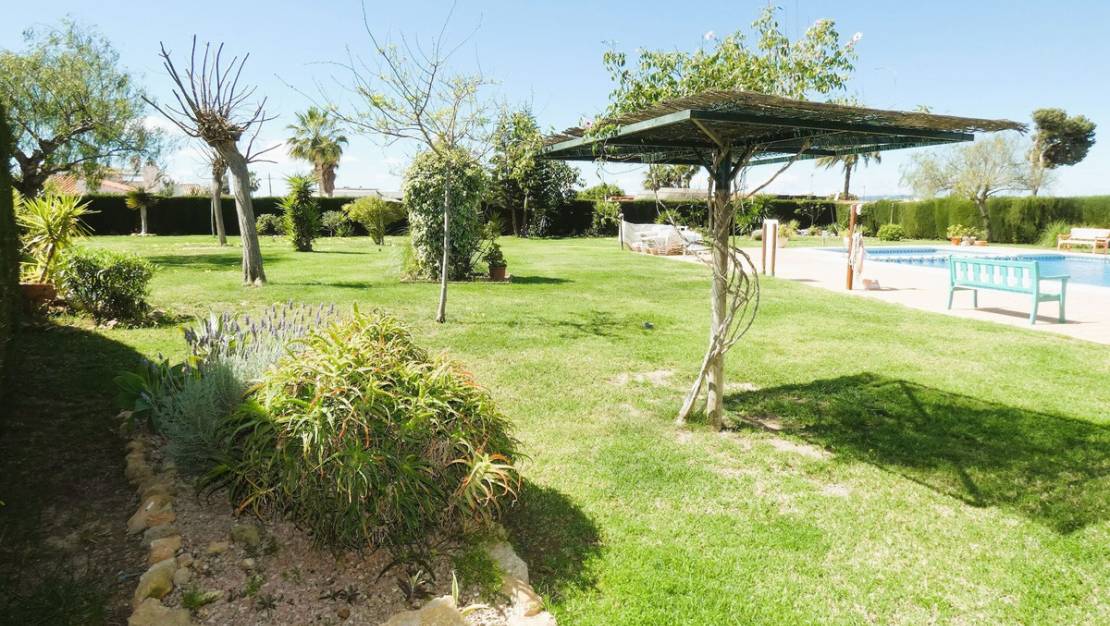 Venta - Chalet - Torrevieja - Torrevieja Centro