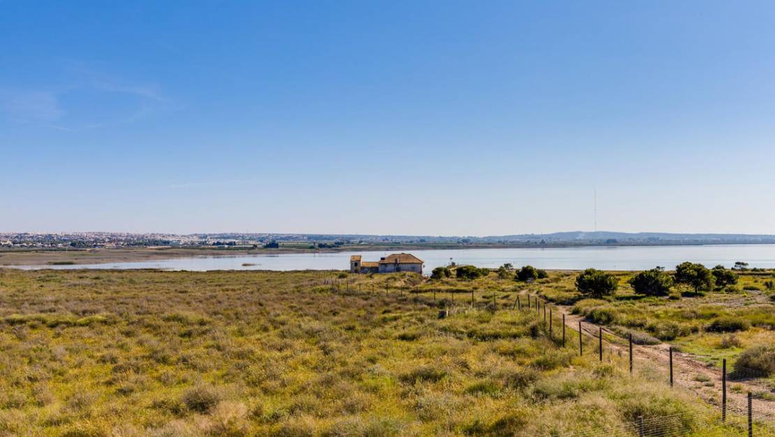 Venta - Chalet - Torrevieja - Torrevieja Centro