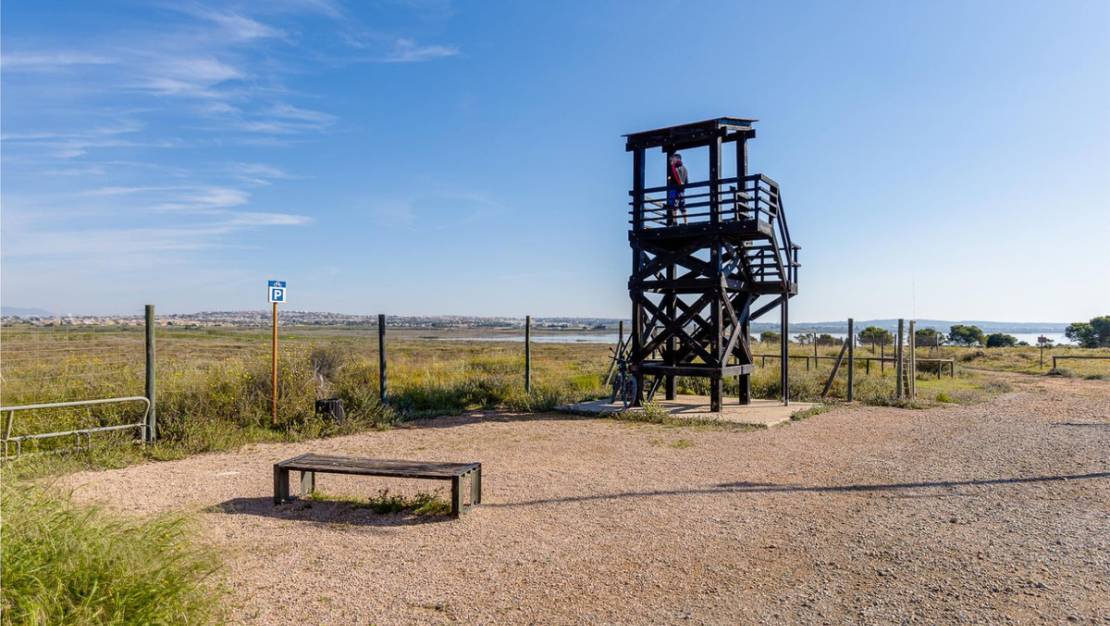 Venta - Chalet - Torrevieja - Torrevieja Centro