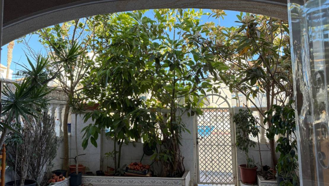 Venta - Chalet - Torrevieja - Torrevieja Centro