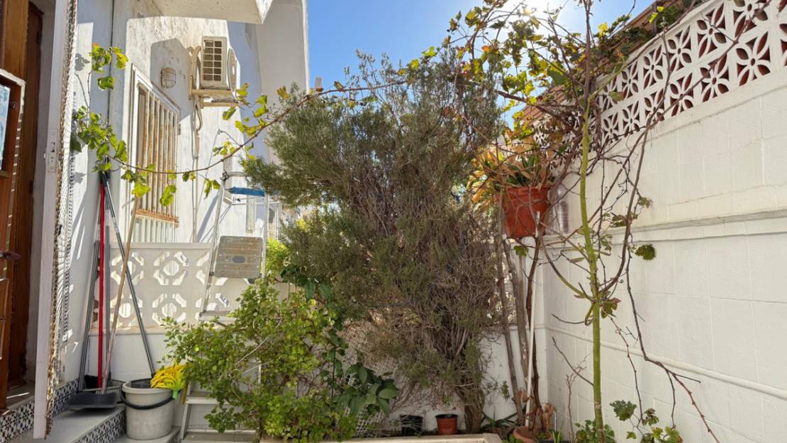 Venta - Chalet - Torrevieja - Torrevieja Centro