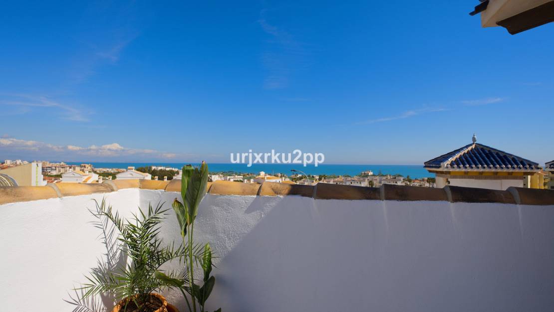 Venta - Chalet - Torrevieja - Torrevieja Centro