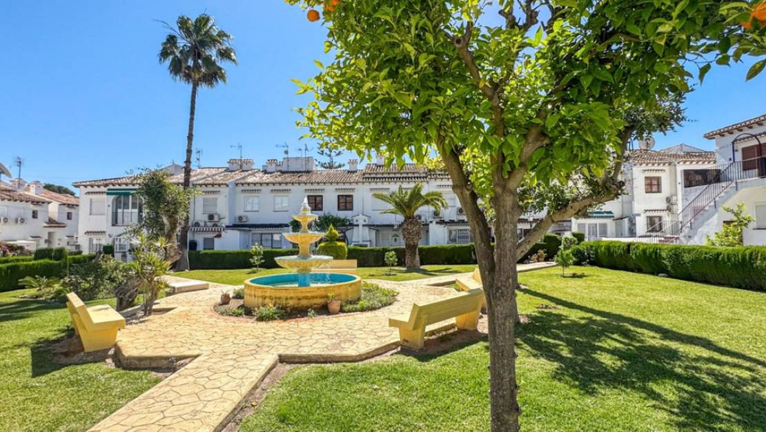 Venta - Chalet - Torrevieja - Torrevieja Centro