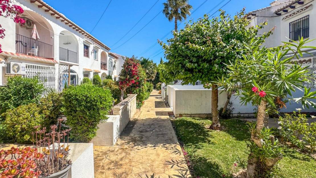 Venta - Chalet - Torrevieja - Torrevieja Centro