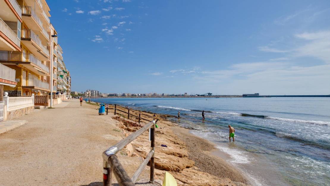 Venta - Chalet - Torrevieja - Torrevieja Centro