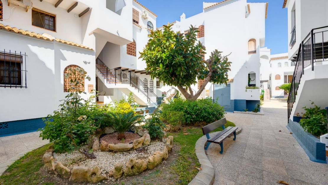 Venta - Chalet - Torrevieja - Torrevieja Centro