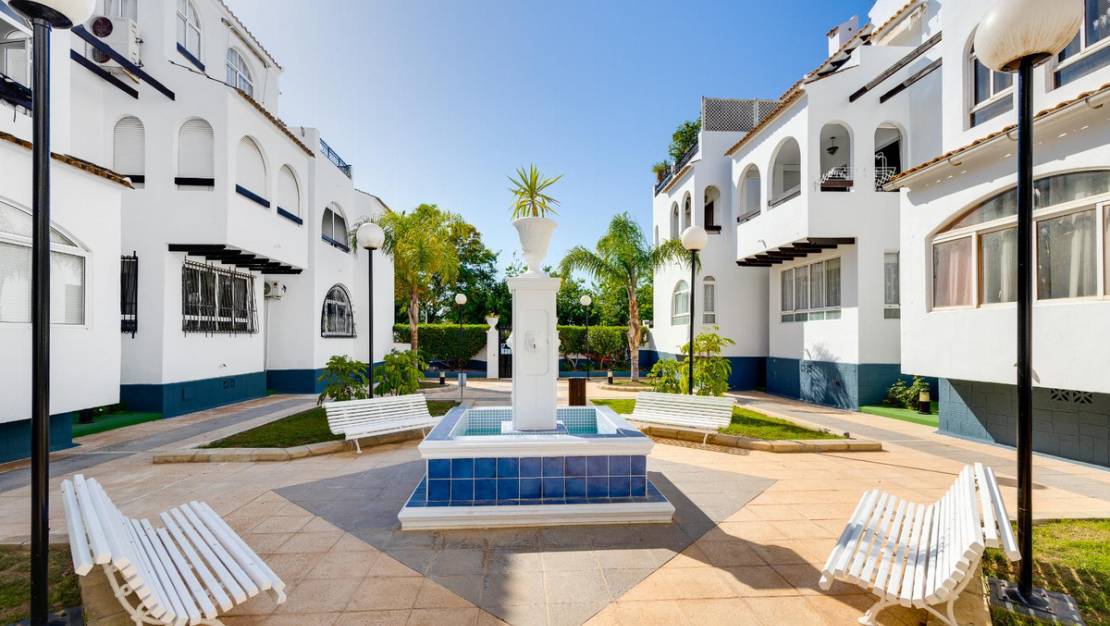 Venta - Chalet - Torrevieja - Torrevieja Centro