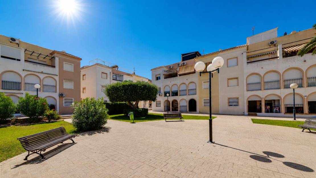 Venta - Chalet - Torrevieja - Torrevieja Centro