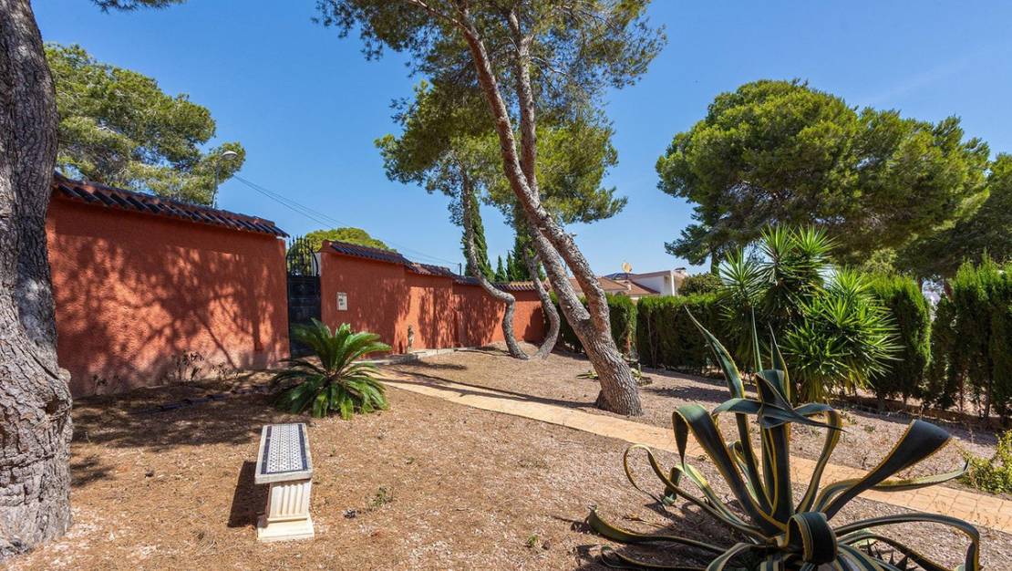 Venta - Chalet - Torrevieja - Torrevieja Centro
