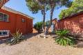 Venta - Chalet - Torrevieja - Torrevieja Centro