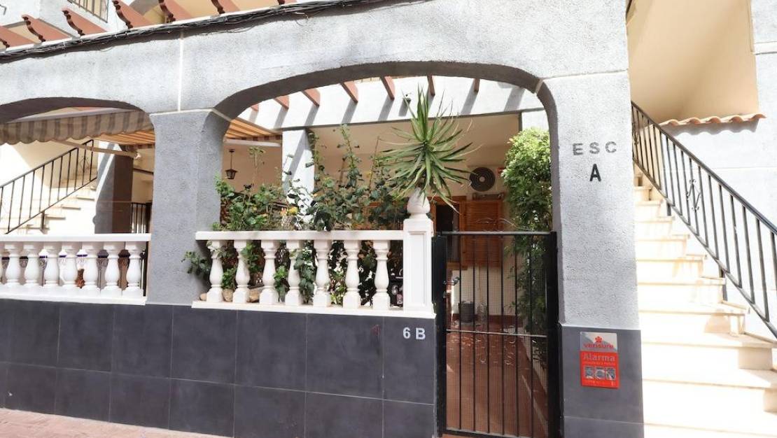 Venta - Chalet - Torrevieja - Torrevieja Centro