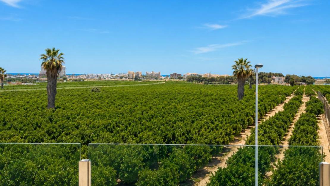 Venta - Chalet - Torrevieja - Torrevieja Centro