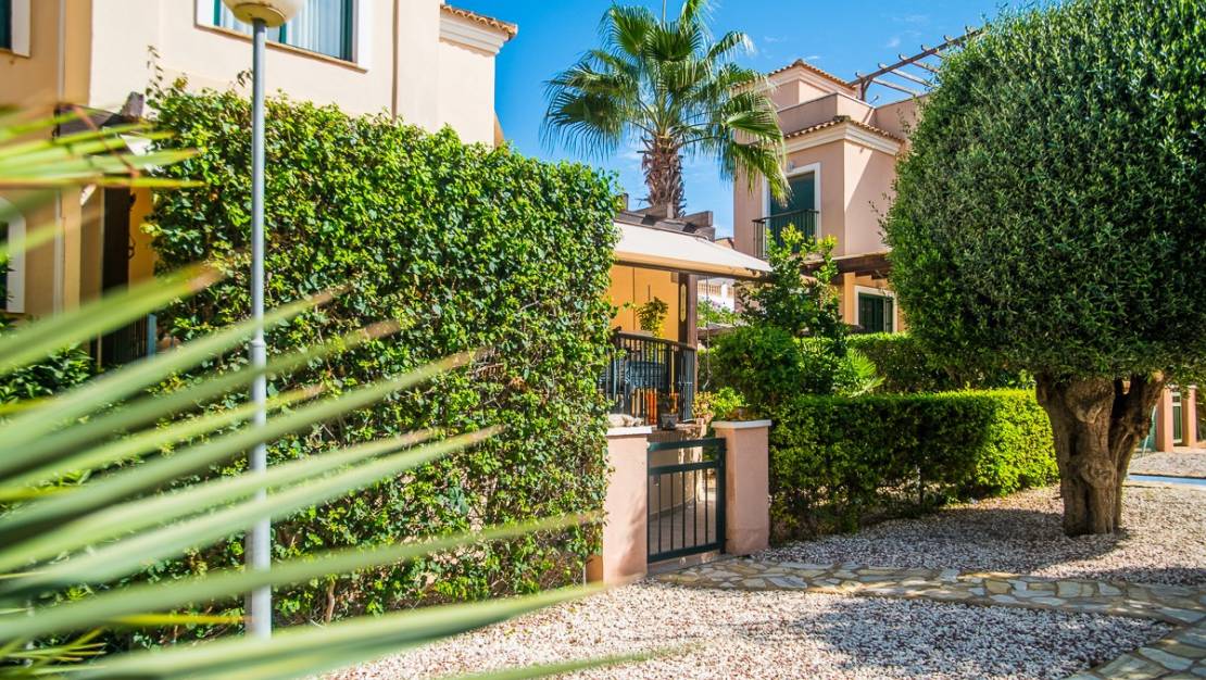 Venta - Chalet - Torrevieja - Torrevieja Centro
