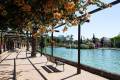 Venta - Chalet - Torrevieja - Torrevieja Centro