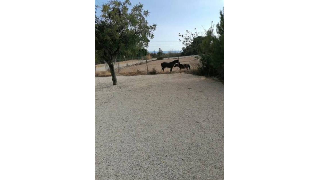 Venta - Chalet - Villajoyosa - Villajoyosa Centro