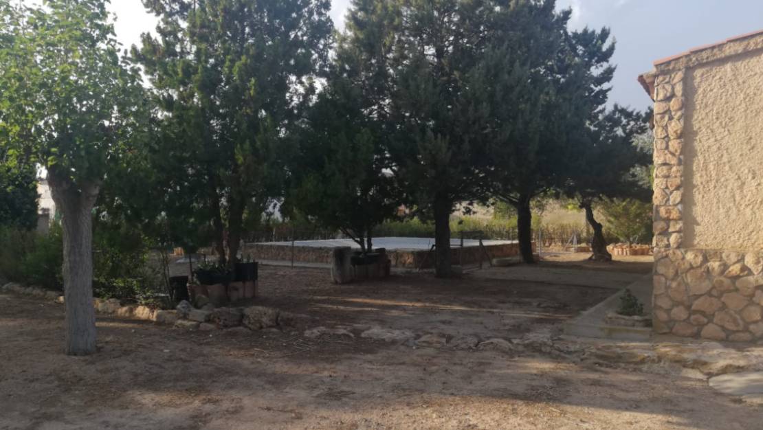 Venta - Chalet - Yecla - Yecla Centro