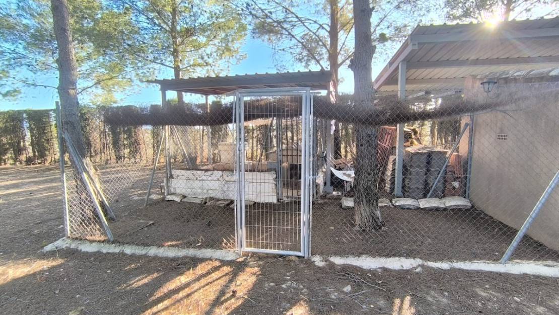 Venta - Chalet - Yecla - Yecla Centro