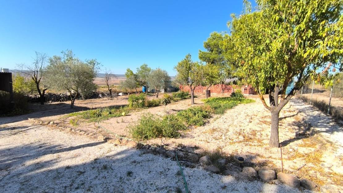 Venta - Chalet - Yecla - Yecla Centro