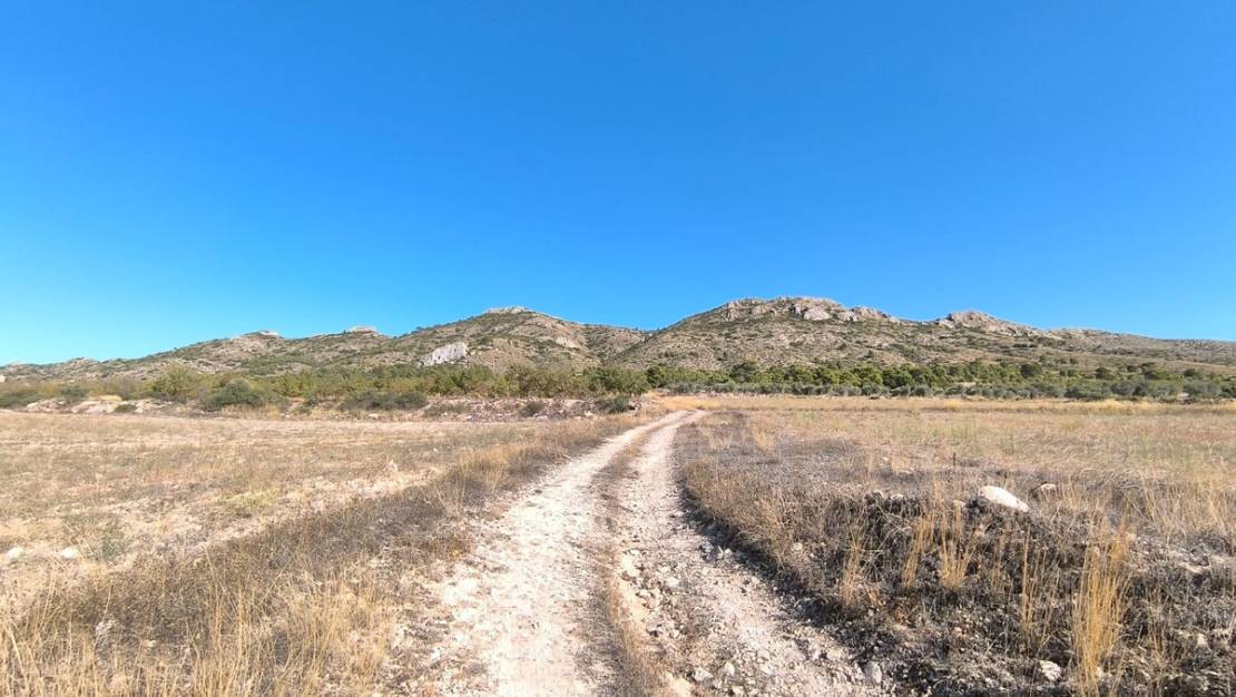 Venta - Chalet - Yecla - Yecla Centro