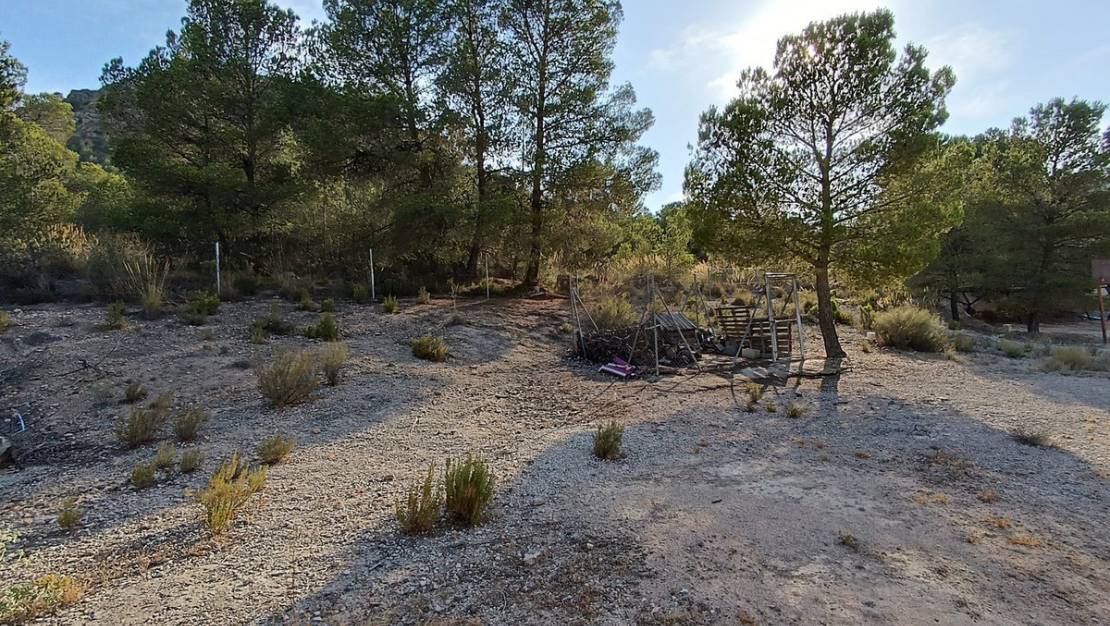 Venta - Chalet - Yecla - Yecla Centro