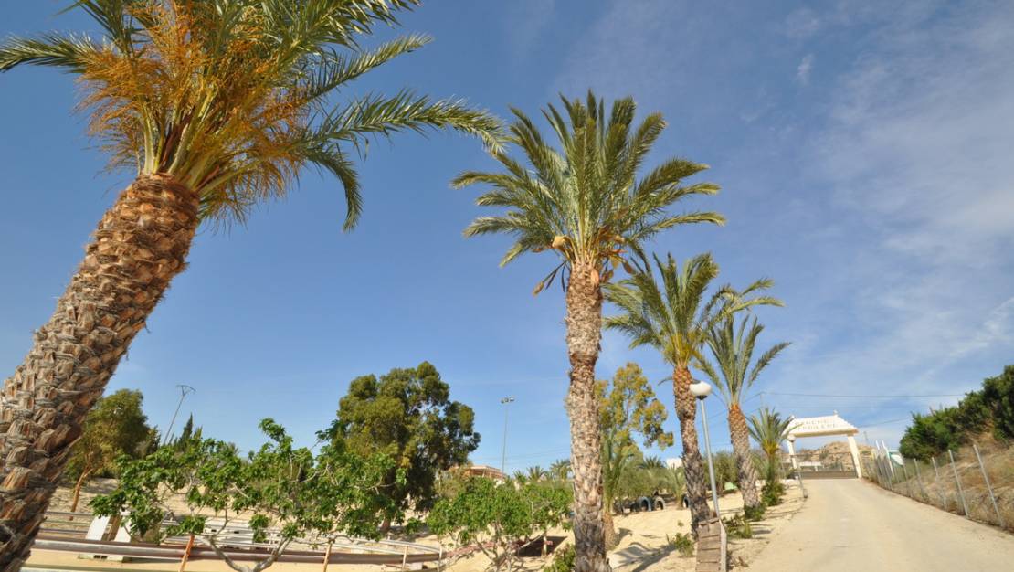 Venta - Commercial property - Abanilla - Abanilla Centro