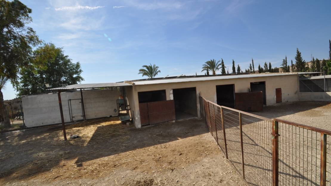 Venta - Commercial property - Abanilla - Abanilla Centro