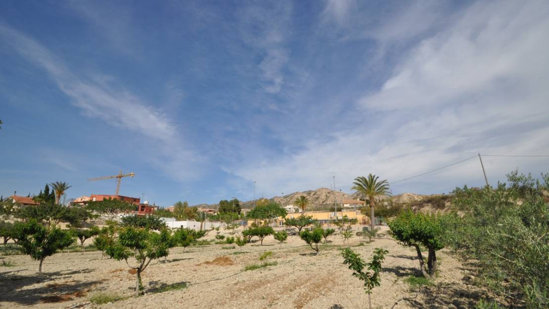 Venta - Commercial property - Abanilla - Abanilla Centro