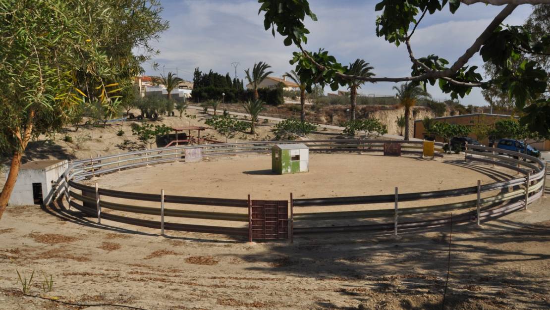 Venta - Commercial property - Abanilla - Abanilla Centro